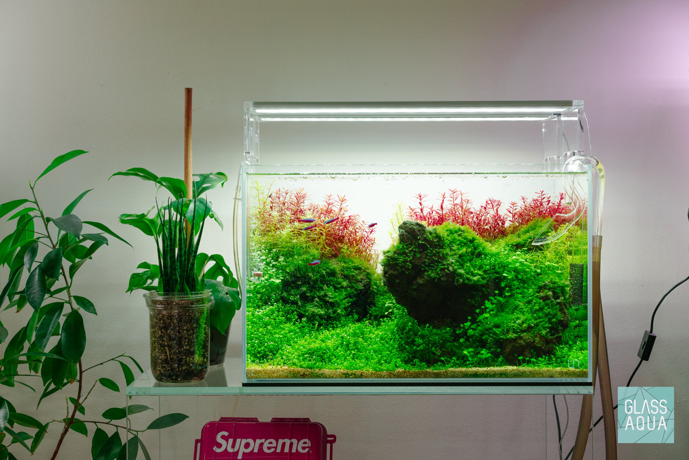 Premium UNS Rimless Standard Glass Aquarium Tank - Crystal Clear View for Nano Fish Tanks, Planted Aquascapes & Home/Office Decor