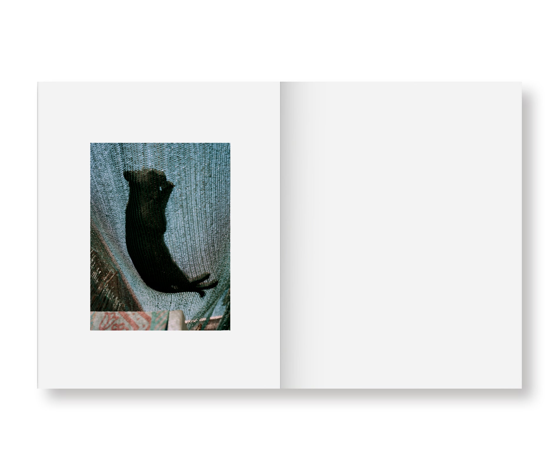 INSIEME by Irina Rozovsky & Mark Steinmetz - Fine Art Photography Book - Perfect for Art Collectors, Photography Enthusiasts & Home Decor
