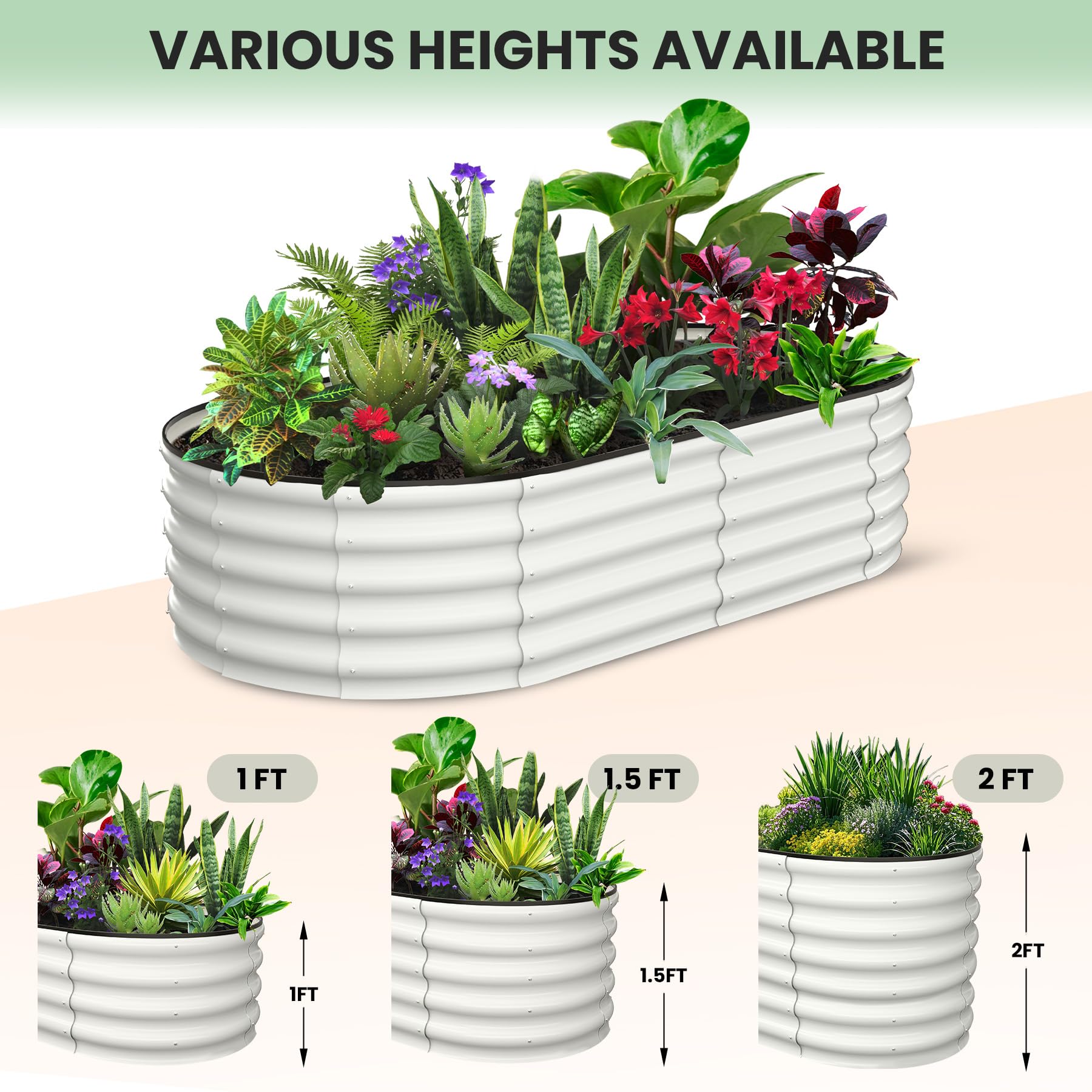 GARVEE 2 Pack 6' X 3' X 1' Oval Galvanized Metal Raised Garden Beds for Vegetables, Flowers, Herbs - Outdoor Planter Box with Open Base, Easy Tool-Free Assembly, White - Perfect for Backyard, Patio, Deck Gardening