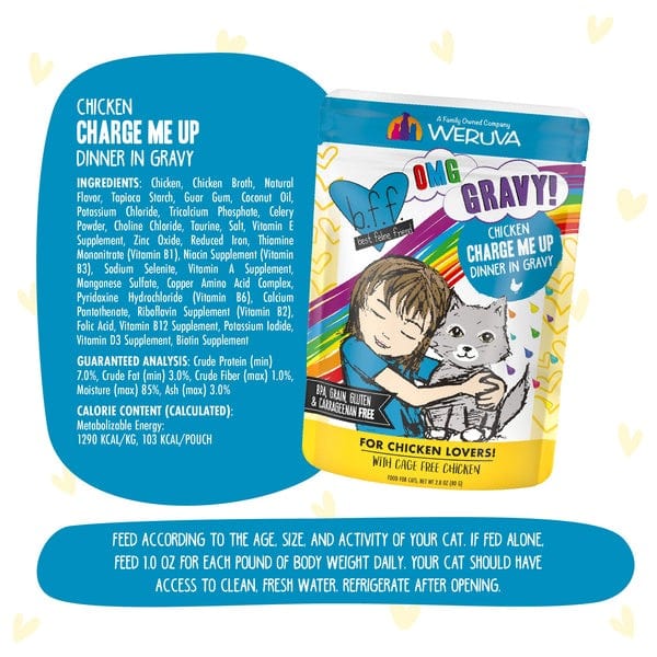 B.F.F. Charge Me Up Chicken Dinner in Gravy Pouch Cat Food - 12 Pack, Grain-Free Wet Cat Food for Adult Cats | Perfect for Mealtime, Travel & Emergency Kits