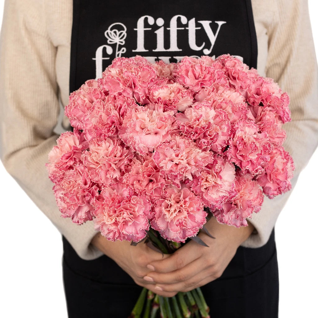 Pink Carnation Flowers for Baby Shower Decorations - Perfect for Nursery, Gender Reveal Party & Newborn Photography Backdrop