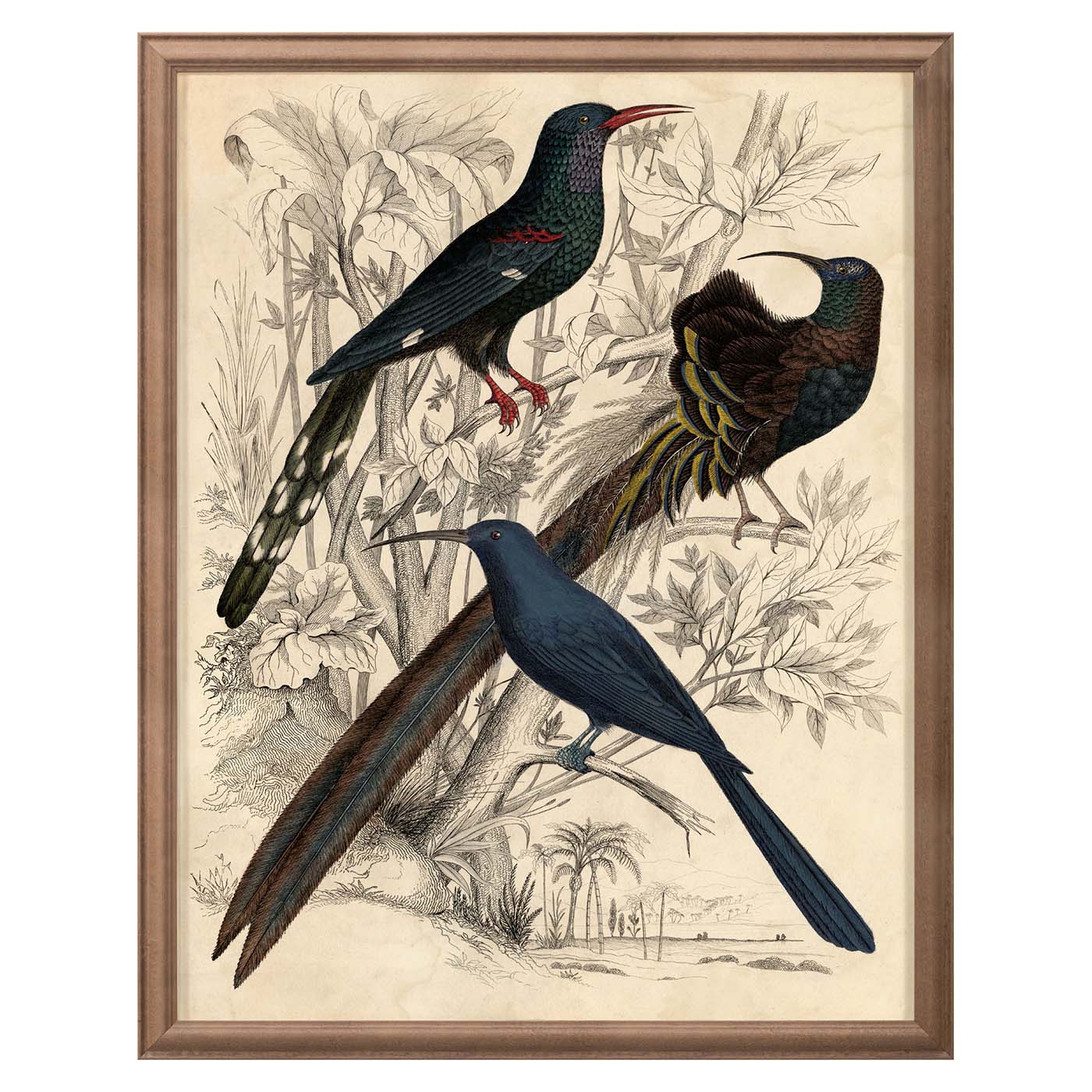 Gallivani Birds 2 - Realistic Bird Figurines for Home Decor & Collectibles | Perfect for Nature Lovers, Garden Ornaments & Gift Ideas