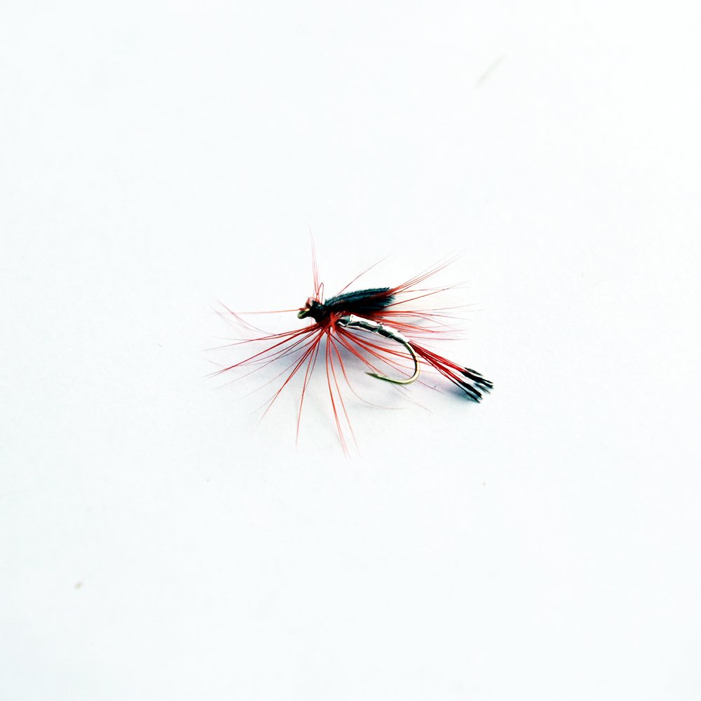 TOPIND 24-Piece Dry Fly & Wet Fly Fishing Flies Kit - Assorted Nymph Fly Lures for Trout Fishing - Waterproof Double-Sided Pocket Fly Box - Perfect for Stream, River & Lake Fishing Adventures