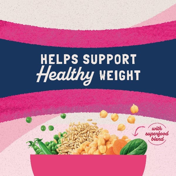 Natural Balance Fat Cats Chicken Meal & Salmon Meal Recipe Dry Cat Food - High Protein, Grain-Free Cat Food for Weight Management - Perfect for Indoor Cats & Overweight Felines