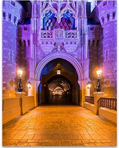 Walt Disney World