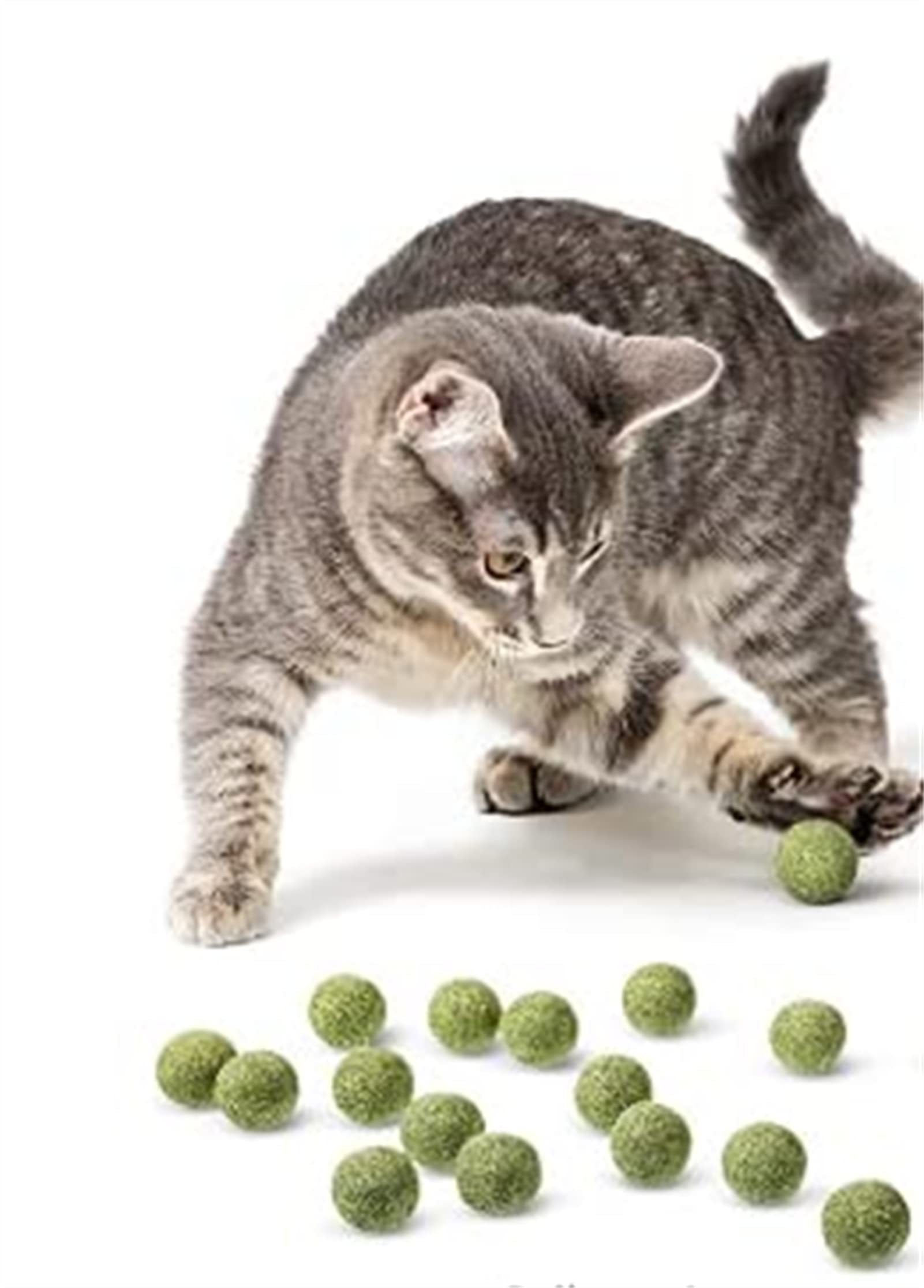 **SHIMING Edible Cat Toys for Kittens - Safe & Healthy Chew Toys for Dental Care & Teeth Cleaning - Interactive Wall Treats for Play & Training**    *(Perfect for Indoor Cats, Playtime Enrichment, and Dental Health Maintenance)*