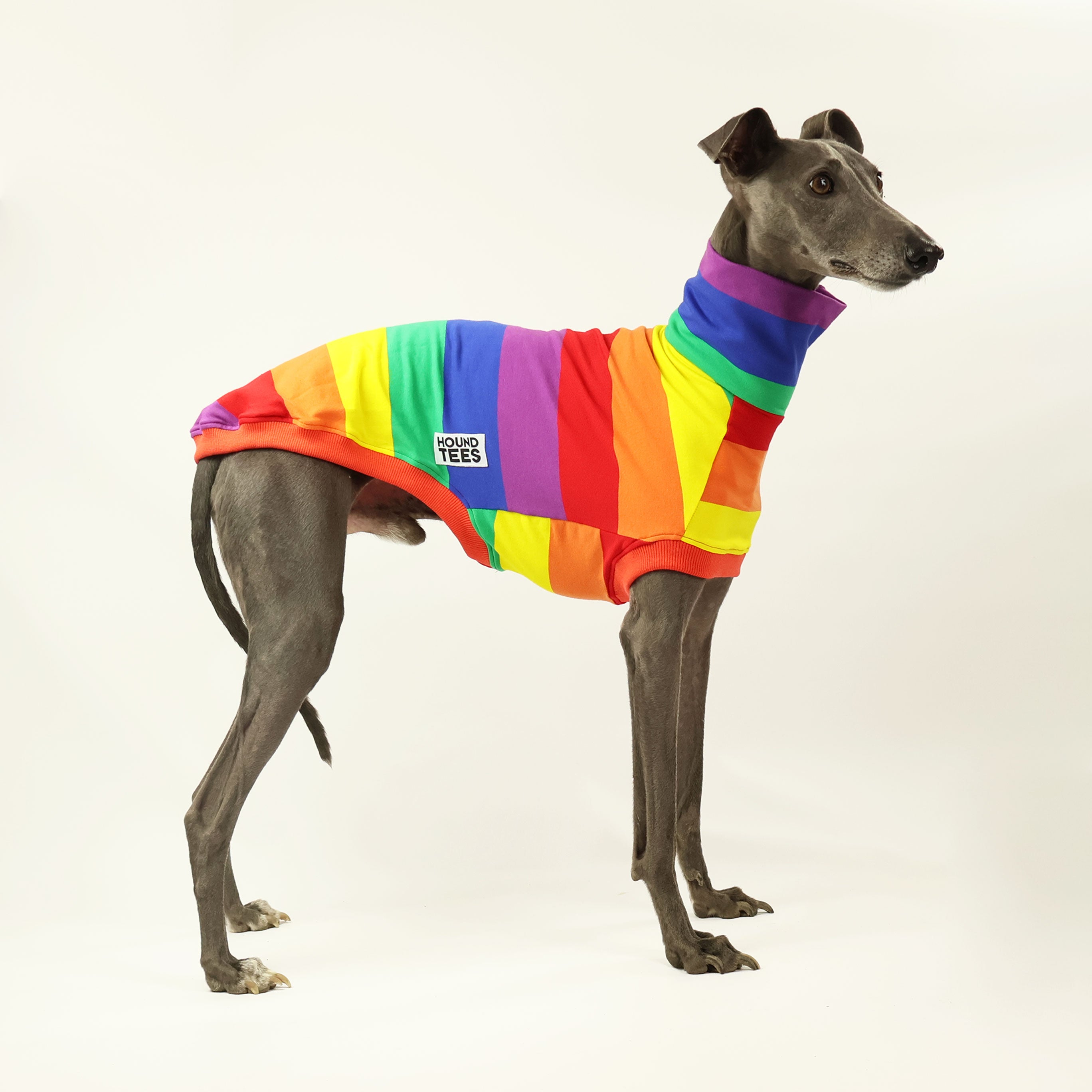 Whippet Sleeveless Dog Sweater - Soft Jellybean Knit Pullover for Small Dogs - Perfect for Winter Walks & Indoor Comfort