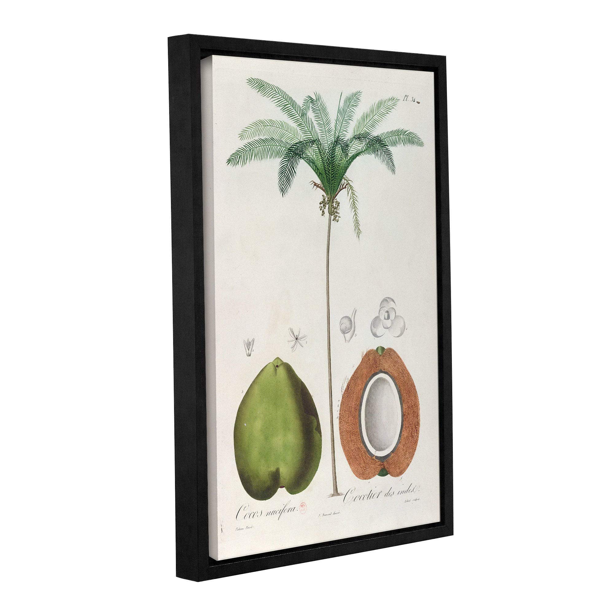 ArtWall Louis Michael Dumesnil Coconuts & Palm Tree Canvas Print - 24x36 Inch Gallery Wrapped Floater Framed Tropical Beach Wall Art for Living Room, Bedroom & Office Decor