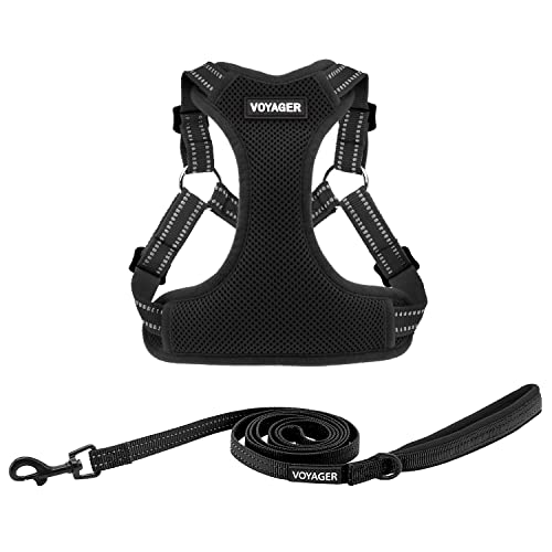 Harness Leash Set (Black)