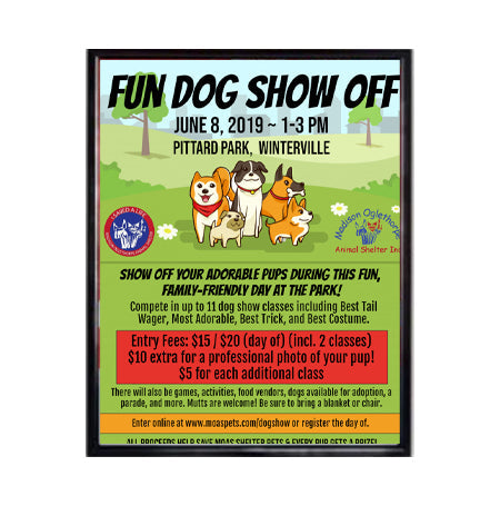 20x26 Beveled Poster Frame - Top Load or Side Load Sign Holder for Wall Displays, Artwork, and Office Decor - Perfect for Home, Office, and Retail Use