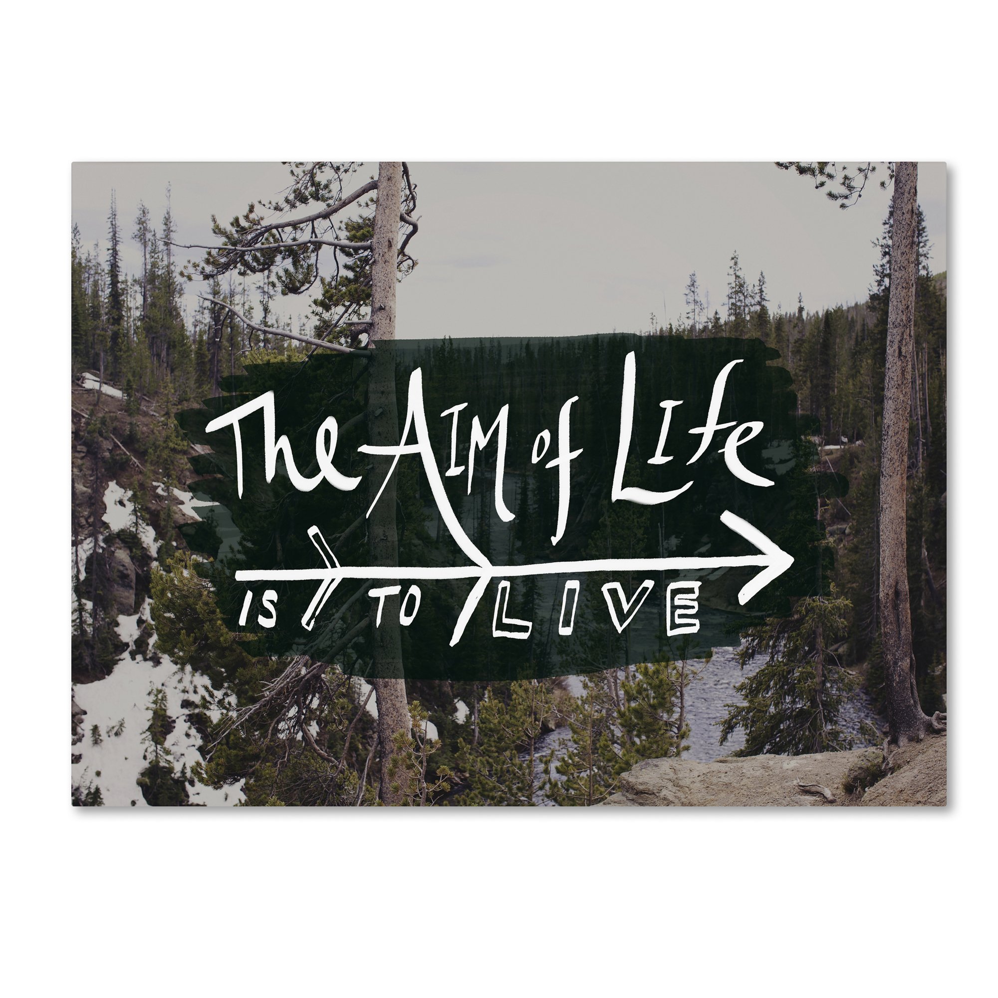 Inspirational 'The Aim of Life' Canvas Wall Art by Leah Flores - 35x47
