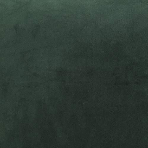 Dark Jungle Green