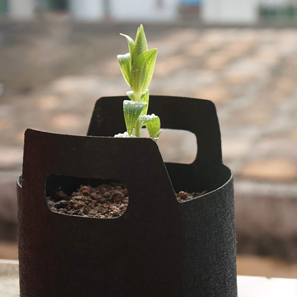 Ghwhimne Nonwoven Fabric Plant Grow Bags - Breathable Potato Vegetable Planter for Gardening, Patio, Lawn & Garden (Black) - Perfect for Indoor/Outdoor Planting, Urban Gardening & Small Space Growing