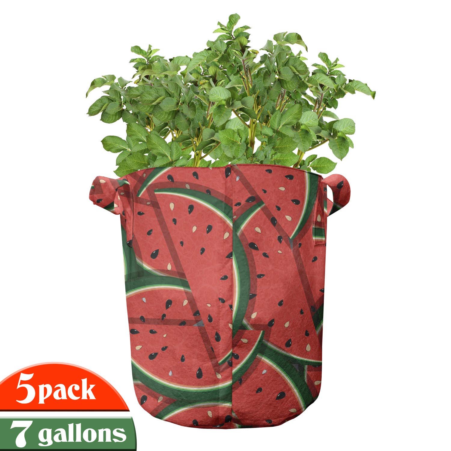 Ambesonne 5-Pack Heavy Duty Fabric Grow Bags with Handles - Watermelon Slice Print Plant Pots for Fruits & Vegetables (Hunter Green/Red) - Ideal for Indoor Gardening, Balcony Plants & Urban Farming