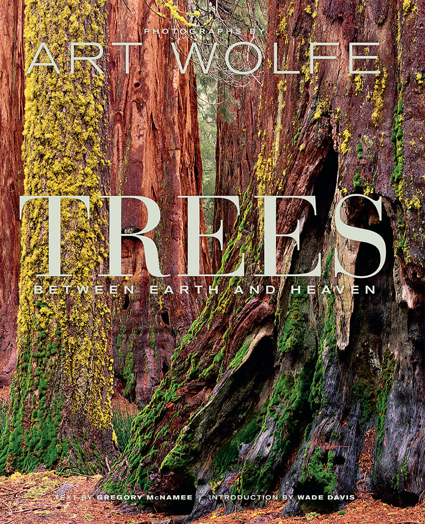 Premium Artificial Trees for Home & Office Decor - Realistic Faux Plants for Indoor & Outdoor Use
