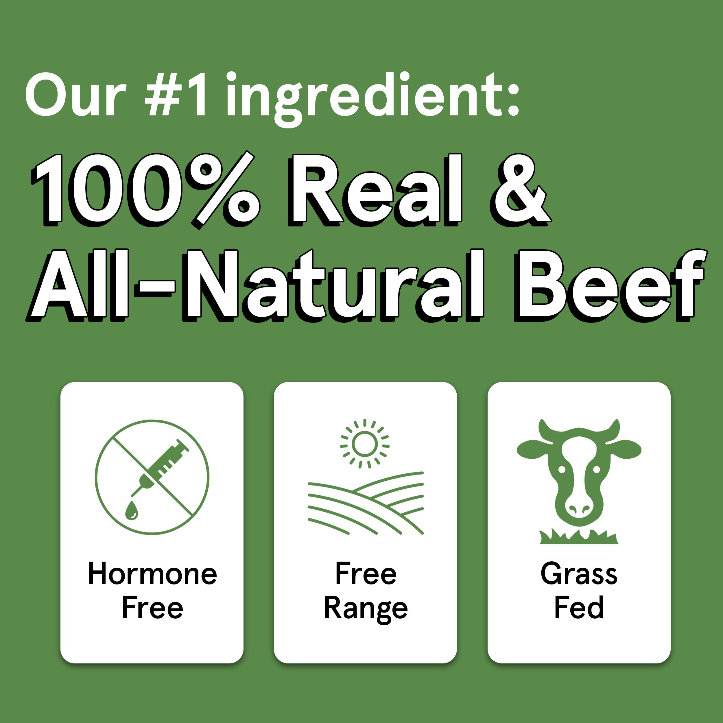 Premium Grain-Free Dog Treats - 2 Pack 12oz Air-Dried Beef Jerky for Dogs | 95% Human-Grade, Free-Range Grass-Fed Beef | High Protein, All-Natural Training Rewards & Dental Chews for Small & Large Breeds | Perfect for Outdoor Adventures & Daily Snacking