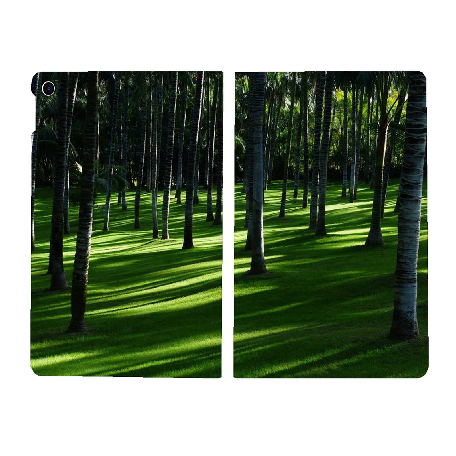 Premium Protective Case for iPad 10.2-Inch (2021/2020/2019 Models, 7th/8th/9th Gen) with Auto Wake/Sleep - Stunning Morning Forest Landscape Design - Perfect for Work, School & Travel