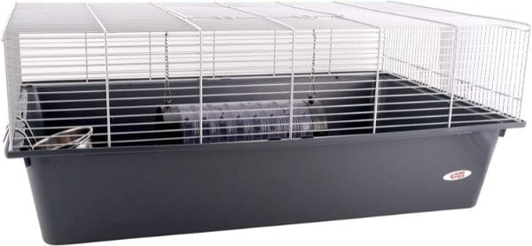 Living World Rat Starter Kit - Complete Small Pet Cage Set with Accessories for Hamsters, Gerbils, Mice | Perfect for Home, Classroom & Pet Store Habitats