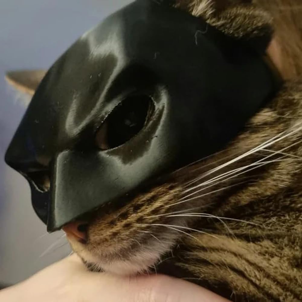 Cat Bat Mask for Cosplay - Funny Halloween Cat Costume Accessories for Kids & Adults (Small Size) - Perfect for Halloween Parties, Cosplay Events & Themed Costume Contests