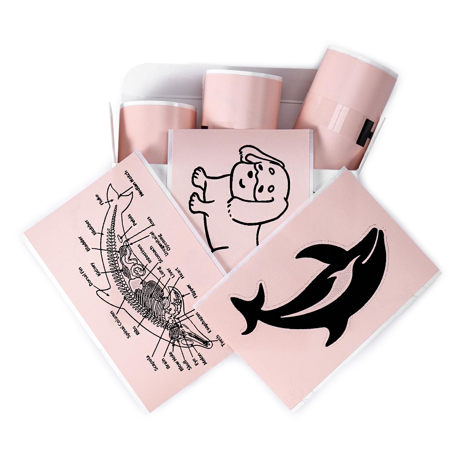 Memoking T02/M02X/M02L Sticker Paper Refill - Pink Adhesive Mini Printer Sticker Rolls (50mm x 3.5m, 3-Pack, 20-Year Durability) for Journaling, Photo Albums, Study Notes & DIY Crafts