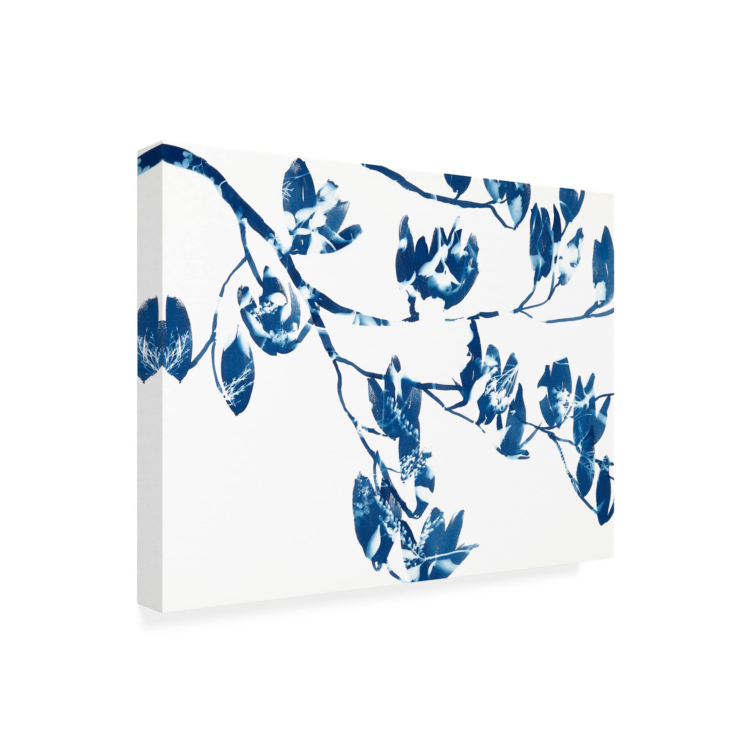 Trademark Fine Art 'Magnolia' Floral Canvas Wall Art by Cynthia MacCollum - Perfect for Living Room, Bedroom & Office Decor