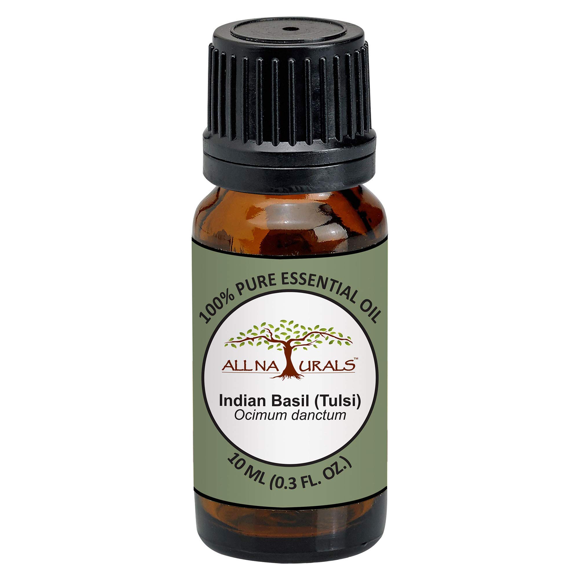 Pure Tulsi Essential Oil (15ml) - 100% Natural Holy Basil Oil for Aromatherapy, Meditation & Focus | Home Fragrance, Skin Care, Disinfection & Insect Repellent | USDA Certified Organic for Spiritual Wellness & Holistic Healing