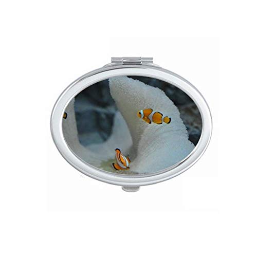 DIYthinker Ocean Clownfish Science Nature Picture Mirror - Portable Folding Double-Sided Makeup Mirror with Stand (Perfect for Travel, Vanity, Dorm Room & Gift)