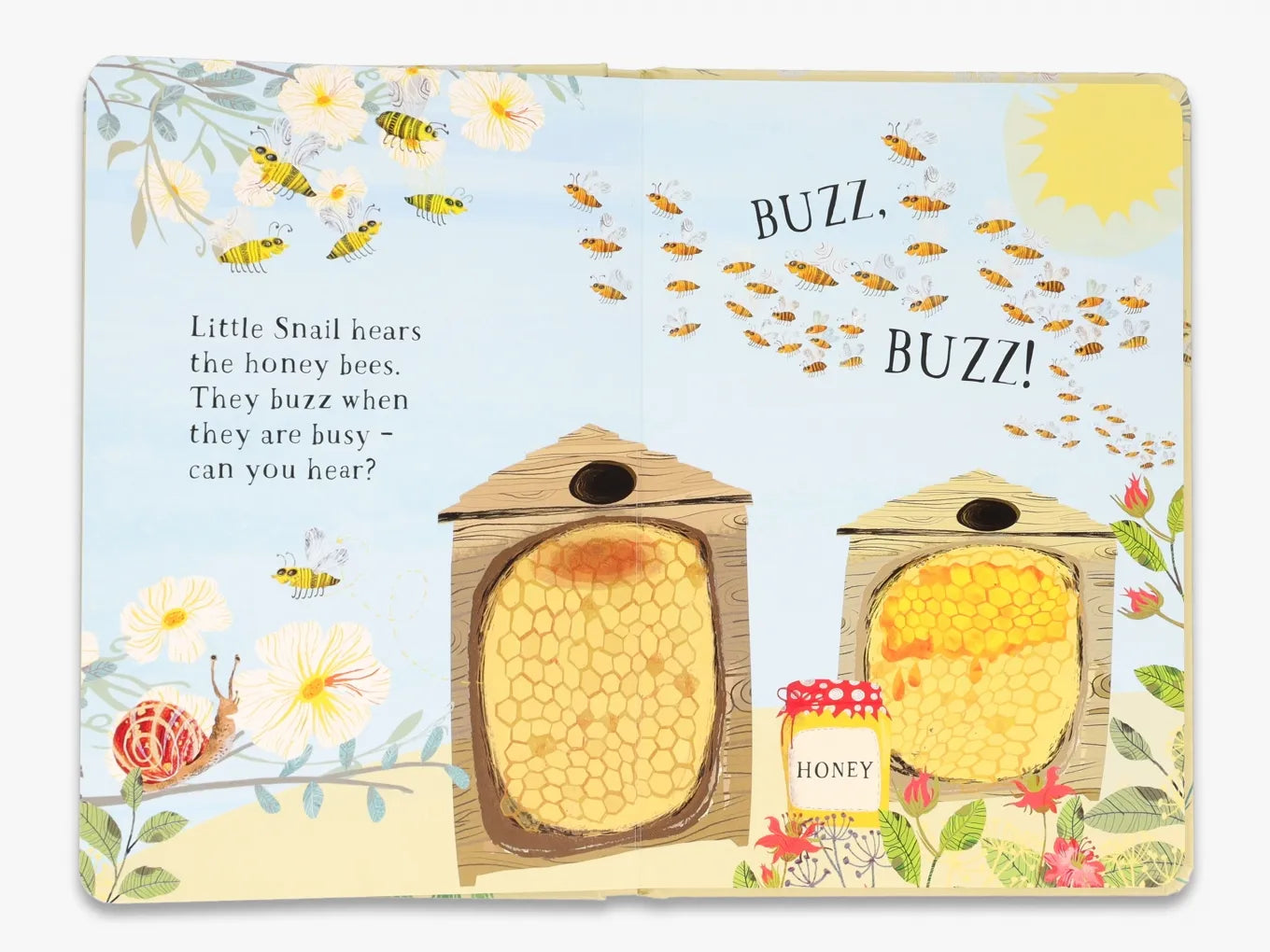 Little Snail's Book of Bugs - Educational Children's Nature Book About Insects | The Big Book Series | Perfect for Kids Learning, Classroom Reading & Bedtime Stories