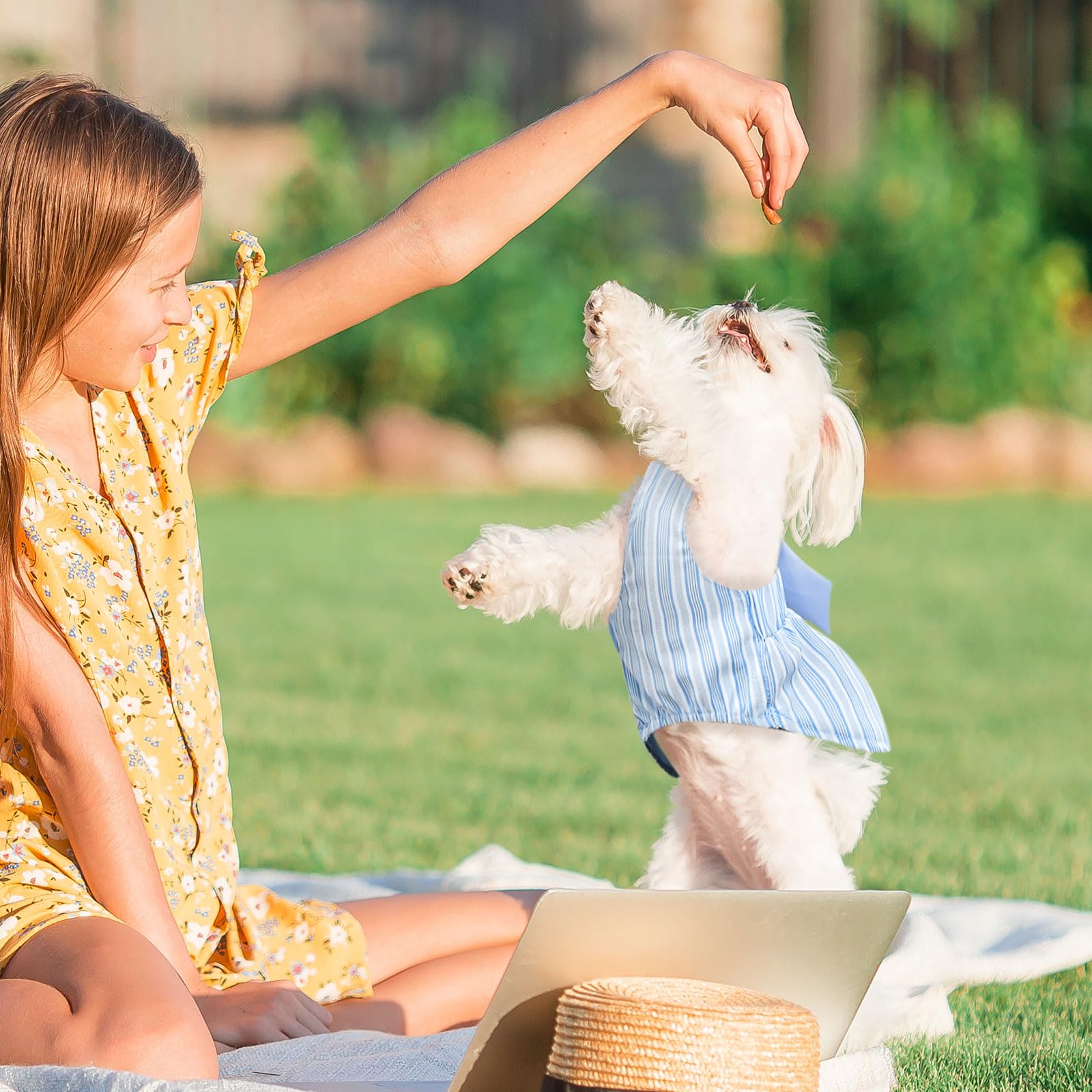 Cute Striped Summer Dog Dress with Bowknot - Adjustable Harness Outfit for Small Dogs, Chihuahua, Yorkie, Pug & Cats (Blue, Large) - Perfect for Birthdays, Parties & Daily Walks
