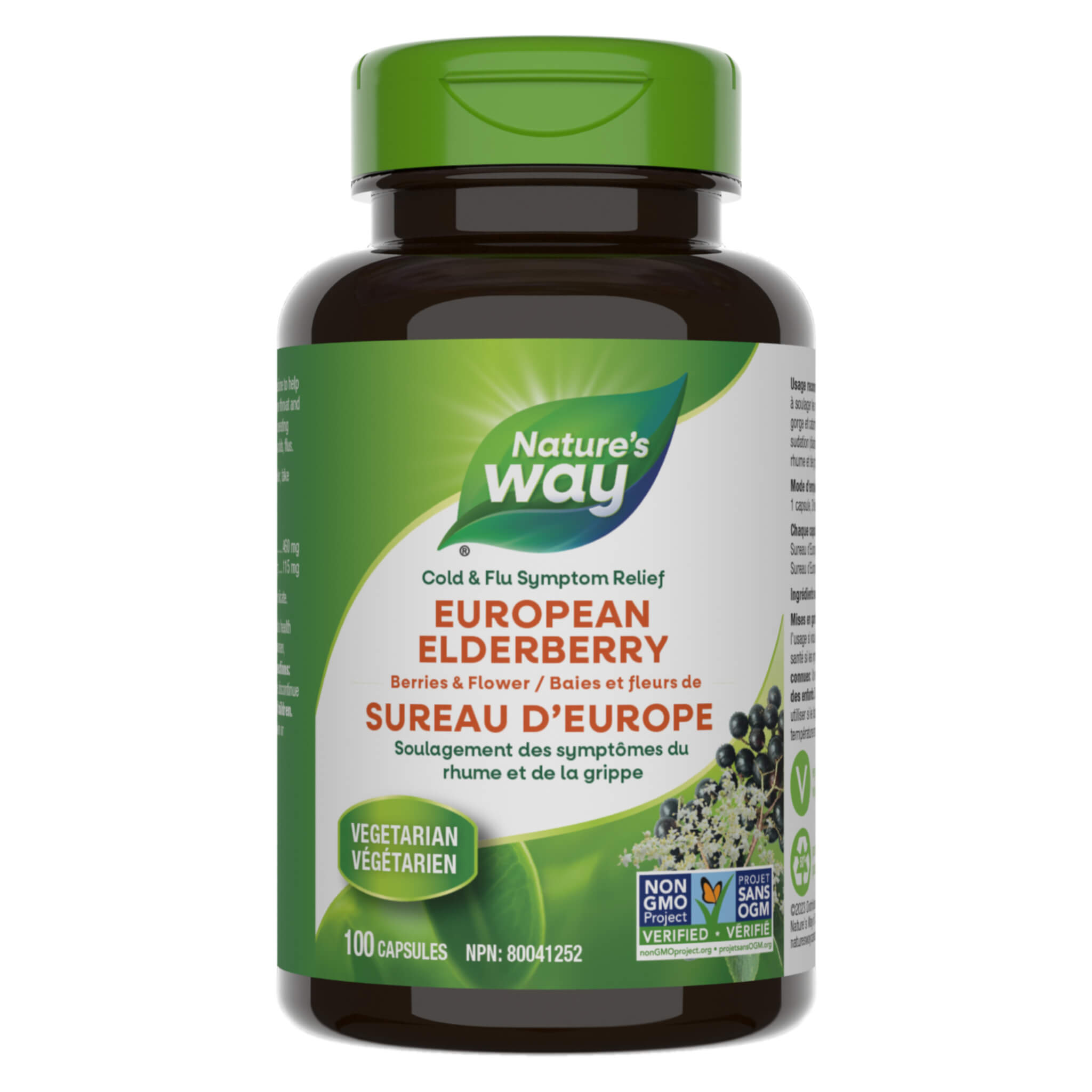 Organic European Elderberry Extract - Immune Support Supplement for Adults & Kids - Rich in Antioxidants & Vitamin C - Great for Cold & Flu Season, Daily Wellness & Boosting Immunity
