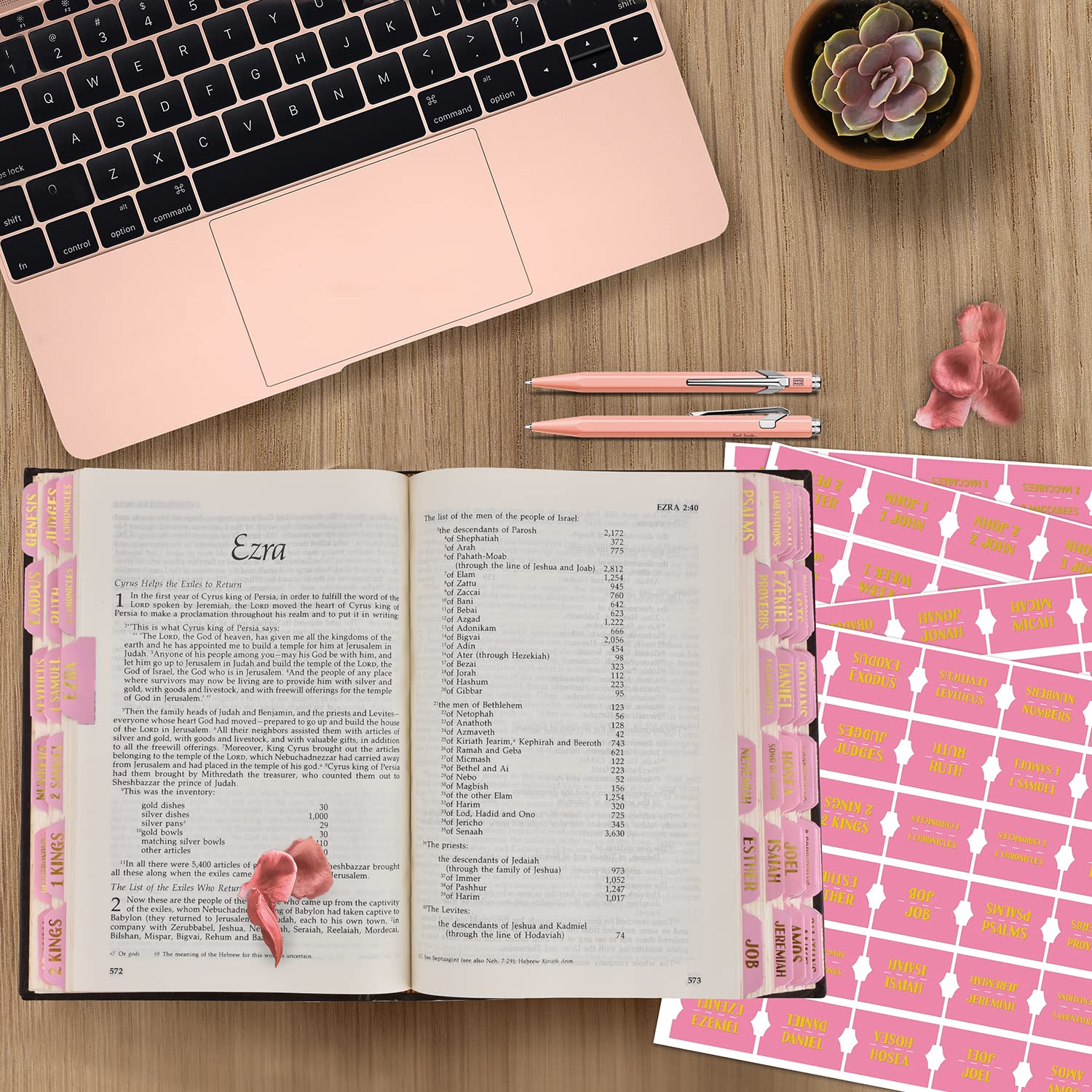 Bible Index Tabs - 122 Pcs Matte Laminated Floral Design Tabs for Old & New Testament, Pink with Gold Foil - Perfect for Bible Journaling, Scripture Study & Church Gift Ideas