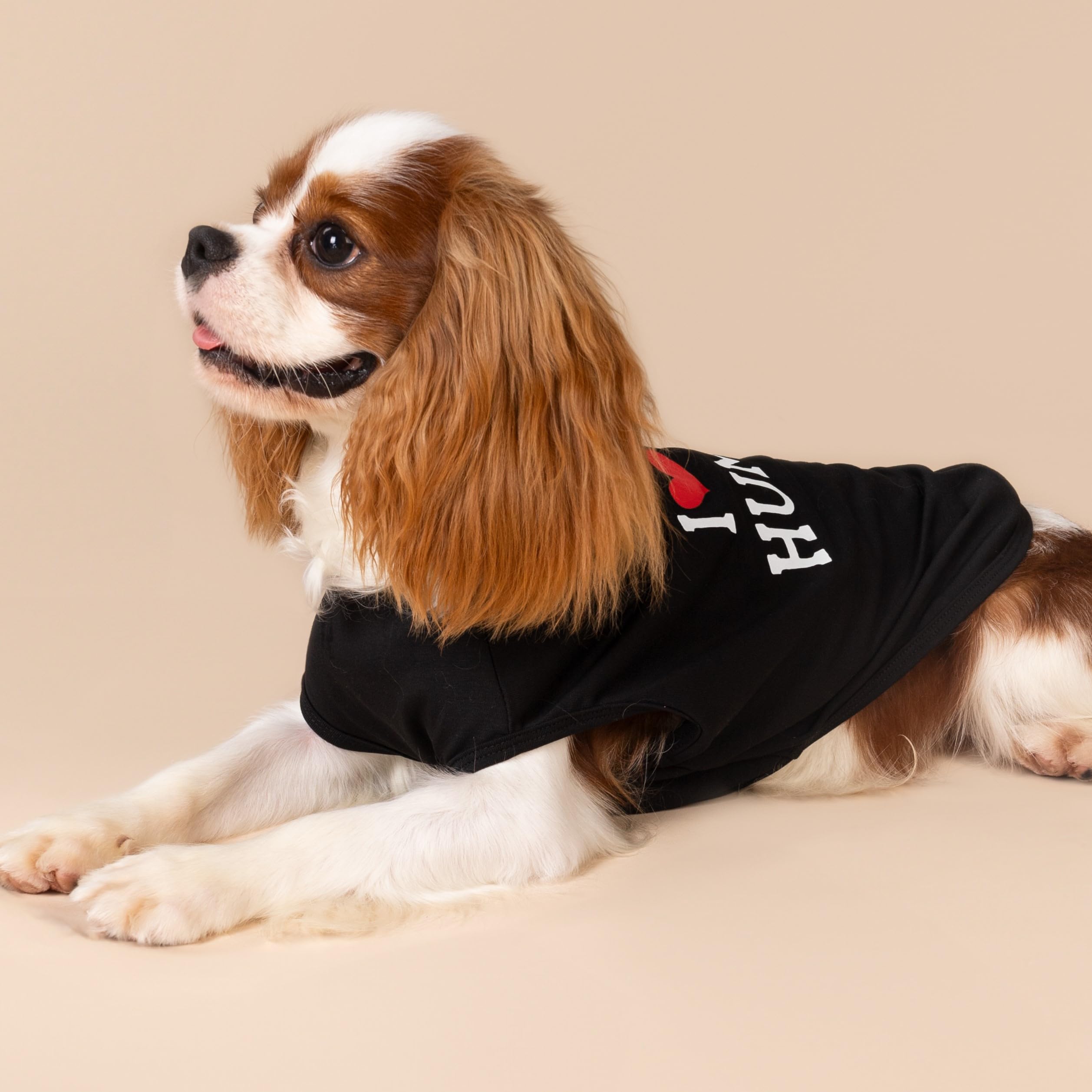 Fitwarm 3 Pack I Love My Human Dog Shirts - Summer Striped Dog T-Shirts for Small Dogs (Black, Red, White) - Funny Pet Clothes for Puppies & Small Breed Dogs - Perfect for Daily Walks, Pet Parties & Photo Shoots