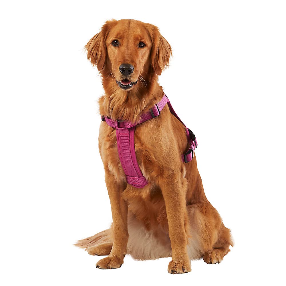 KONG Ultra Durable Dog Waste Bag Harness - Large Pink Hands-Free Poop Bag Holder for Walking, Hiking & Outdoor Activities with Your Pet