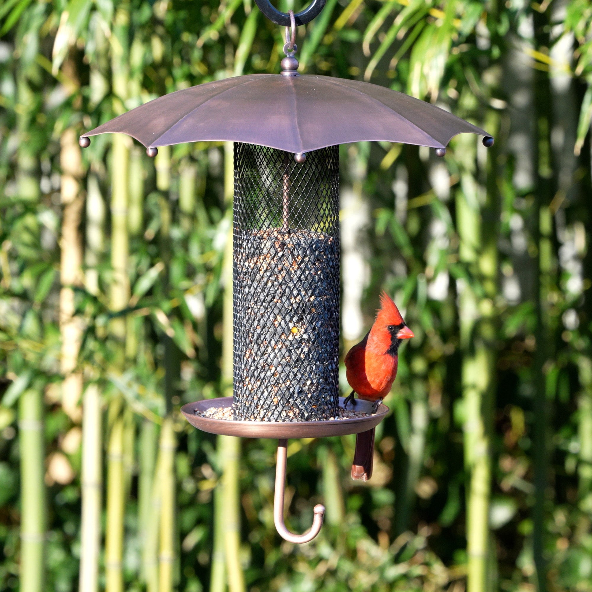 Waterproof Bird Feeder with Mesh Tube - Hanging Outdoor Garden Decor for Rainy Days | Attracts Wild Birds to Your Backyard