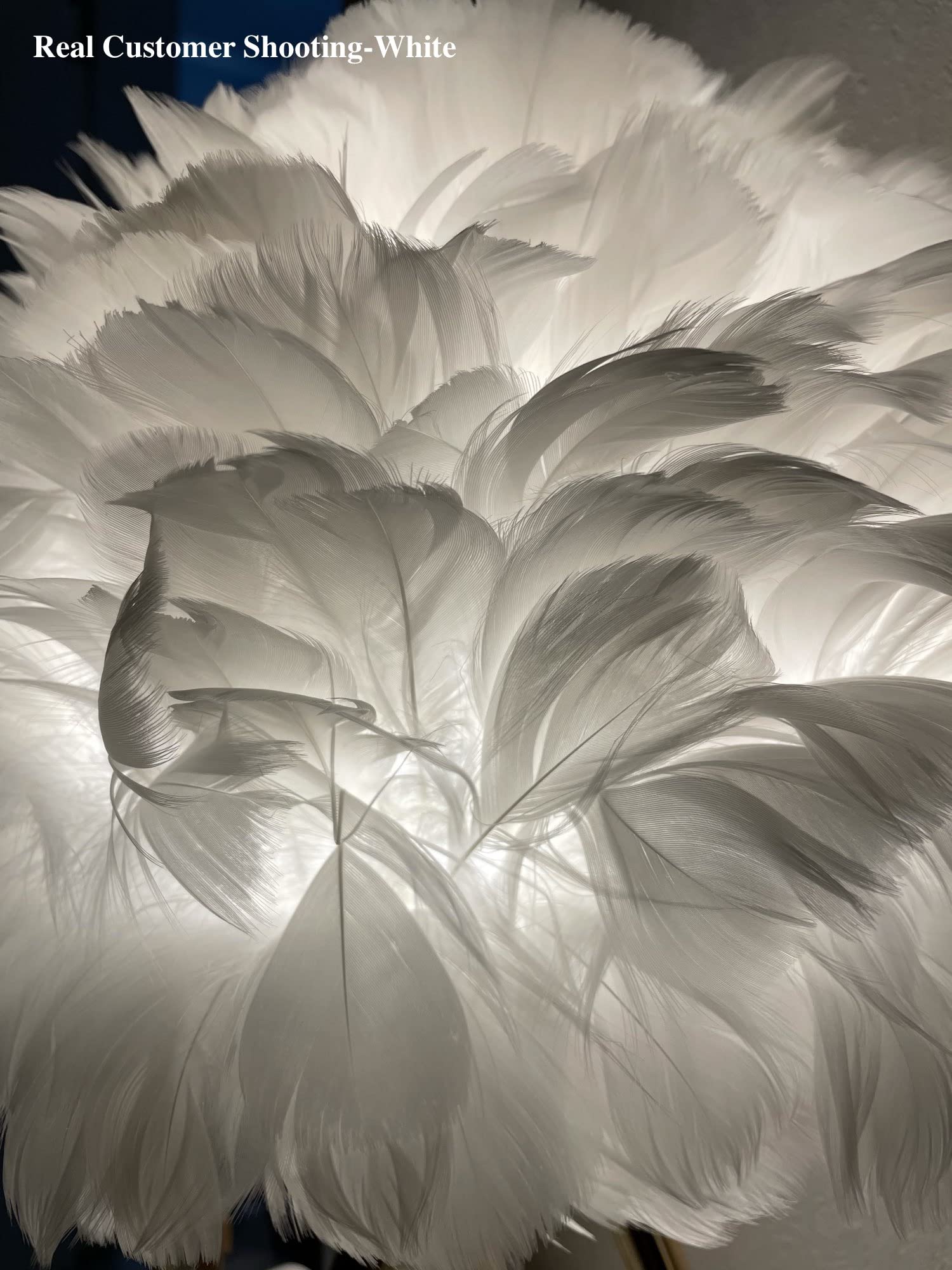 Elegant White Swan Feather Bedside Table Lamp - Modern Aesthetic Bedroom & Living Room Decor, Artistic Desk Lamp for Girls Room, Romantic Valentine's Day Gift for Women - Perfect for Nightstands, Dressing Tables & Cozy Reading Nooks