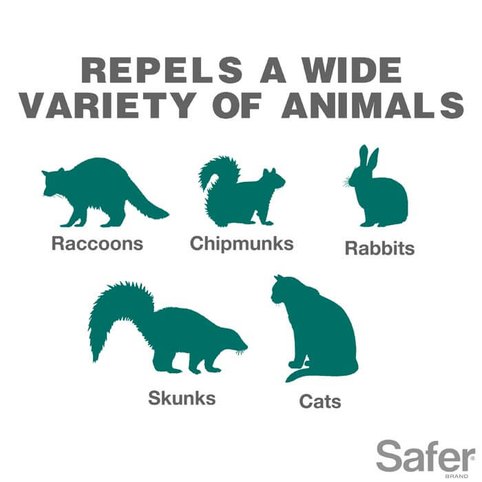 Critter Ridder Ready-to-Use Animal Repellent Spray - 32 oz | Natural Pest Control for Gardens, Lawns & Outdoor Areas | Protects Plants from Rabbits, Squirrels & Deer