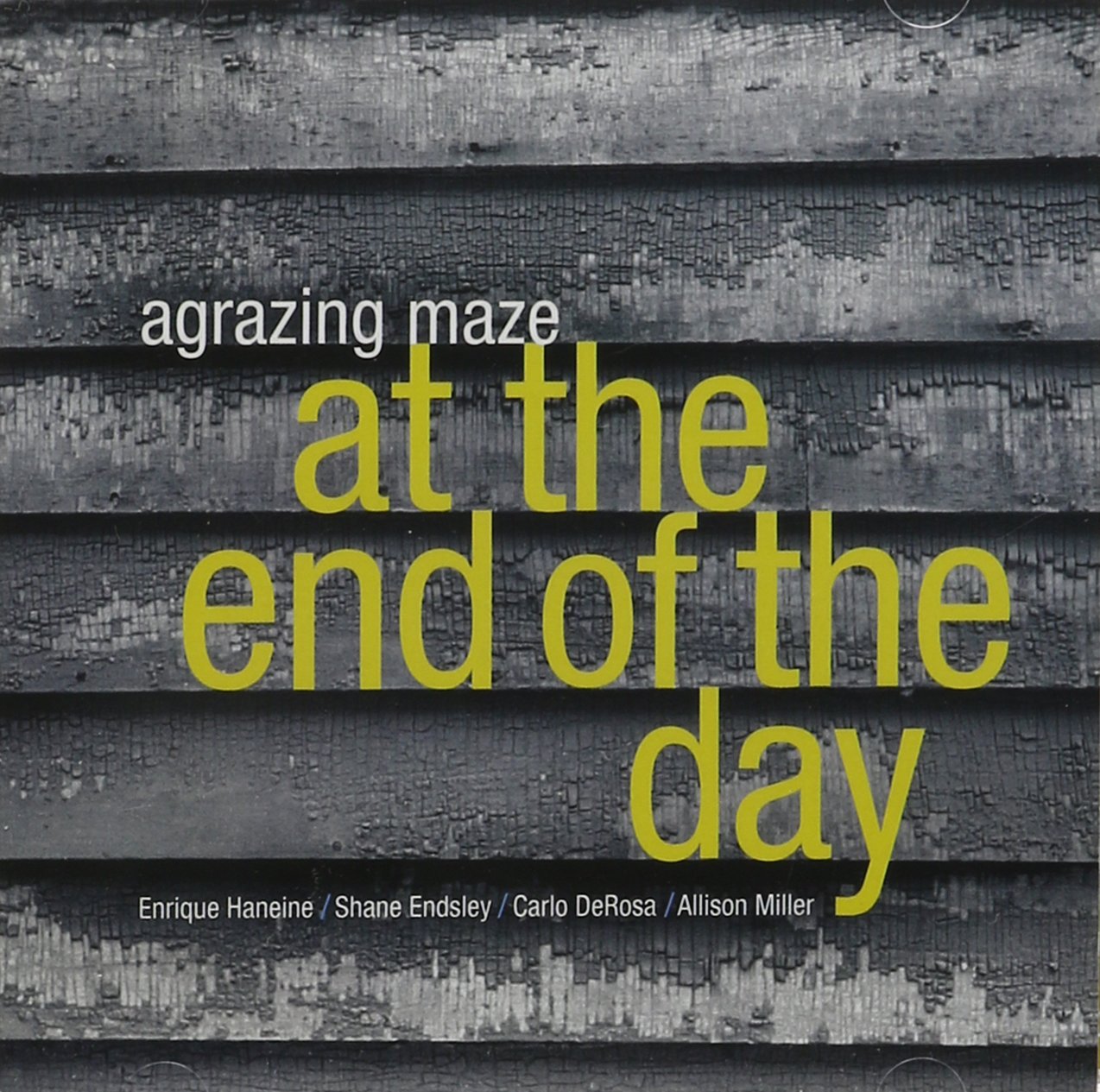 At the End of the Day - Premium Daily Planner & Journal for Productivity and Mindfulness | Perfect for Work, School, and Personal Goal Tracking