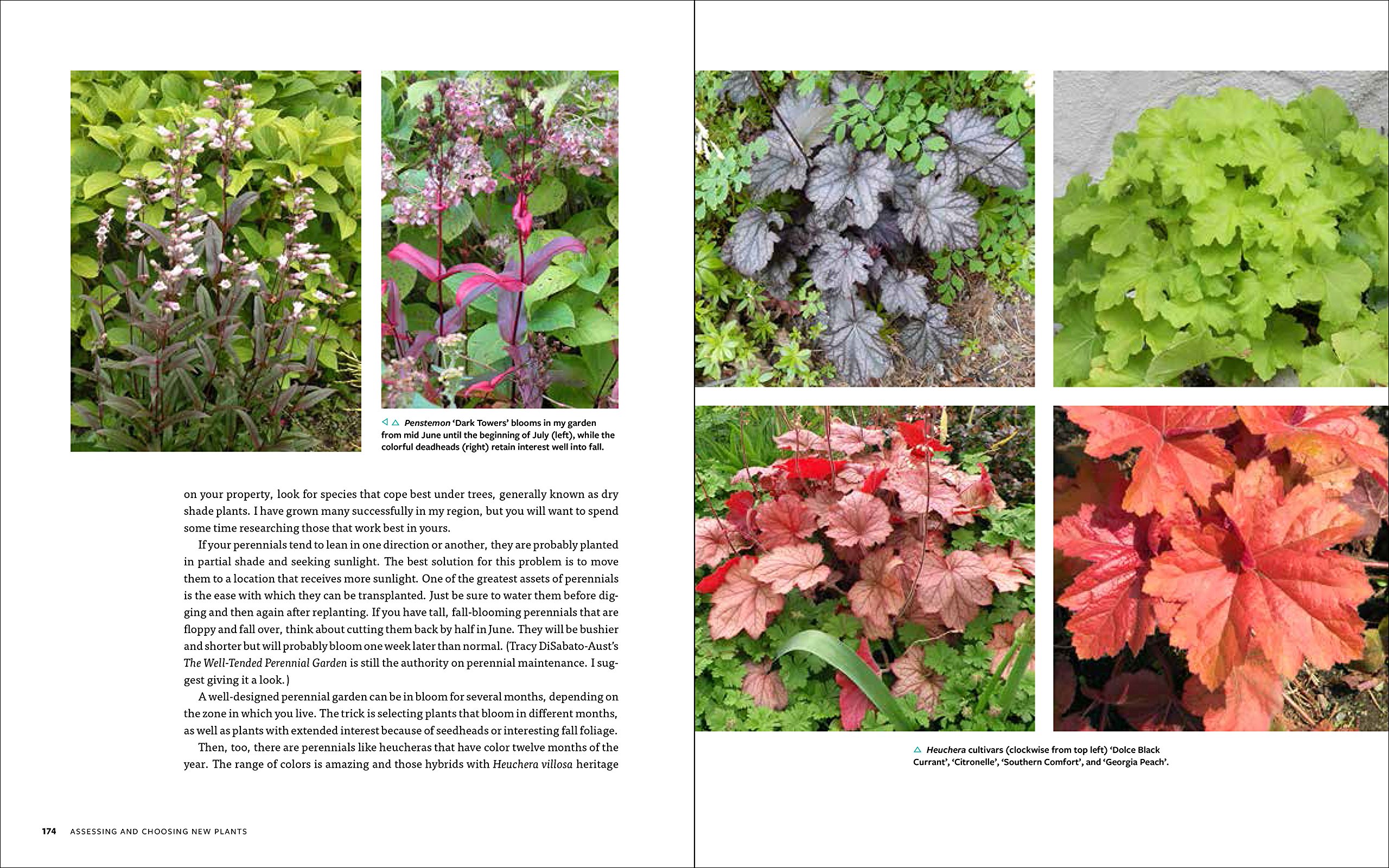 Garden Renovation Ideas: Transform Your Backyard into a Dream Oasis - Perfect for Outdoor Entertaining & Relaxation