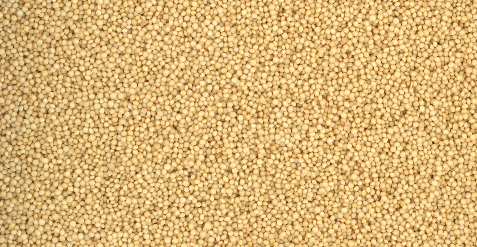 Organic Whole Grain 100% Natural Amaranth Seeds - Non-GMO, Raw, Gluten-Free (6 LB Bulk) - Perfect for Baking, Smoothies & Healthy Breakfast Recipes