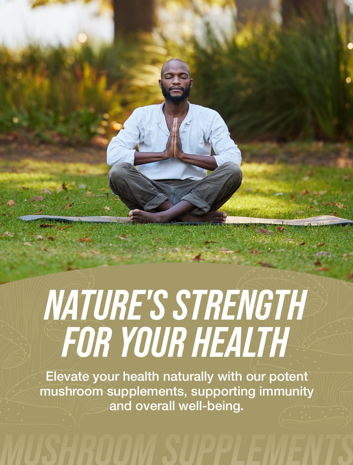 Premium White Button Mushroom Extract Capsules - 100% Organic & Vegan - Supports Immune System & Gut Health - Perfect for Daily Wellness & Immune Boosting Routine