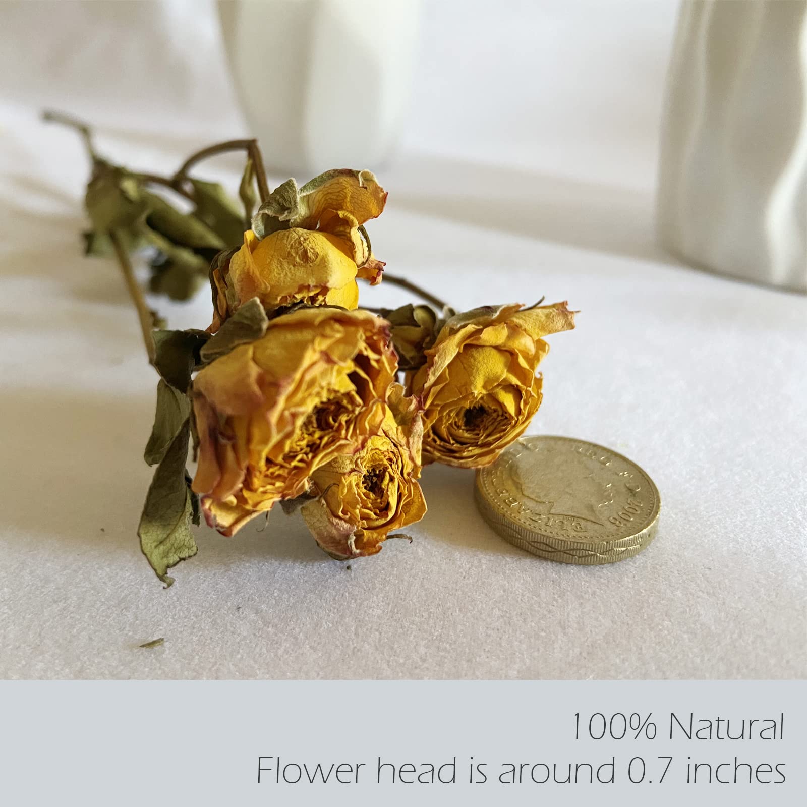 L'BREVOGA 100% Natural Dried Spray Rose Bouquets - 2 Bunches with Baby’s Breath, Miniature Roses for Home Decor, Wedding Centerpieces & Party Arrangements (Perfect for Rustic, Boho & Farmhouse Style Decorations)