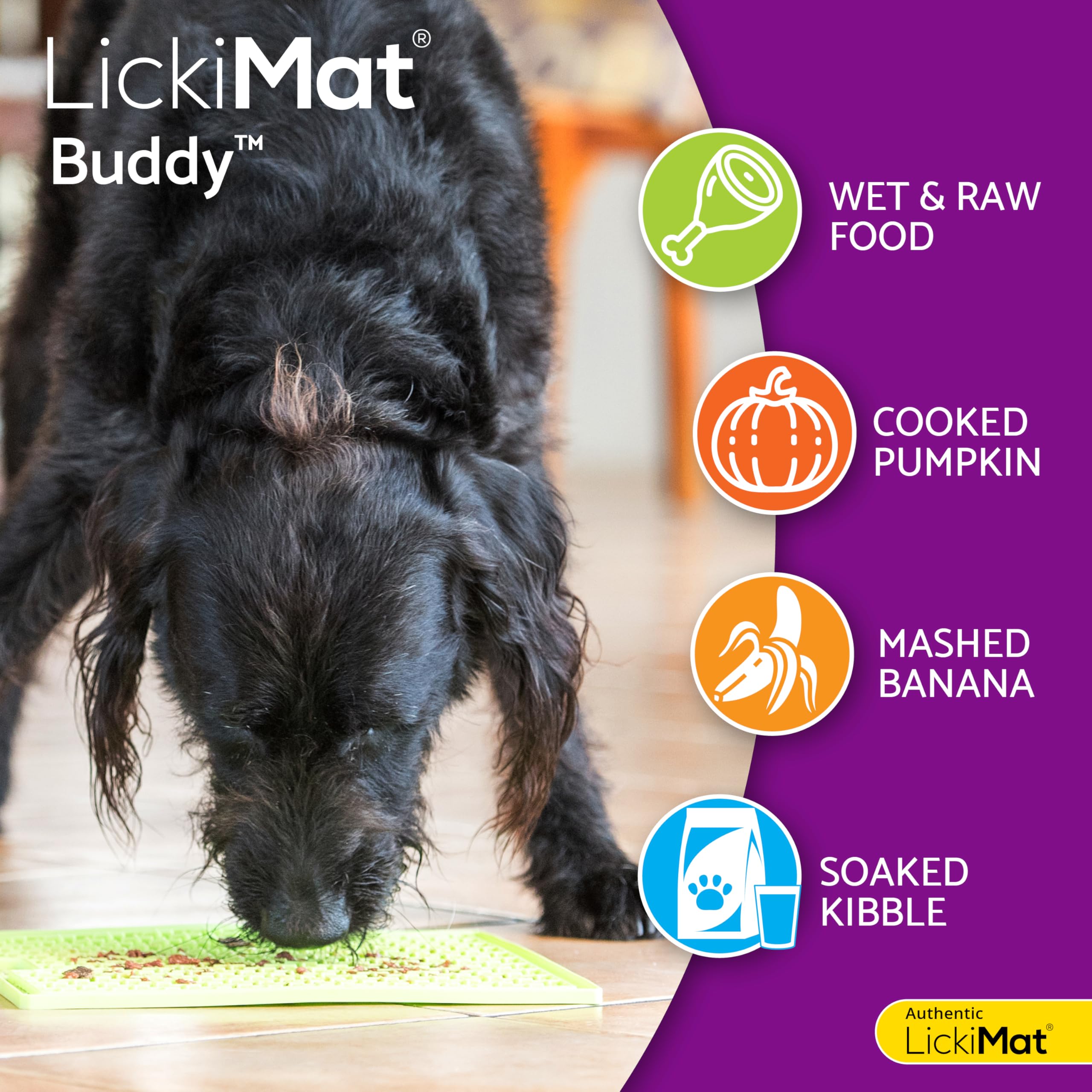 LickiMat Classic Buddy - Slow Feeder Dog Bowl Alternative for Boredom & Anxiety Relief - Lick Mat for Food, Treats, Yogurt & Peanut Butter - Fun Interactive Feeding Toy for Dogs - Perfect for Mealtime Enrichment & Stress Relief (Turquoise)