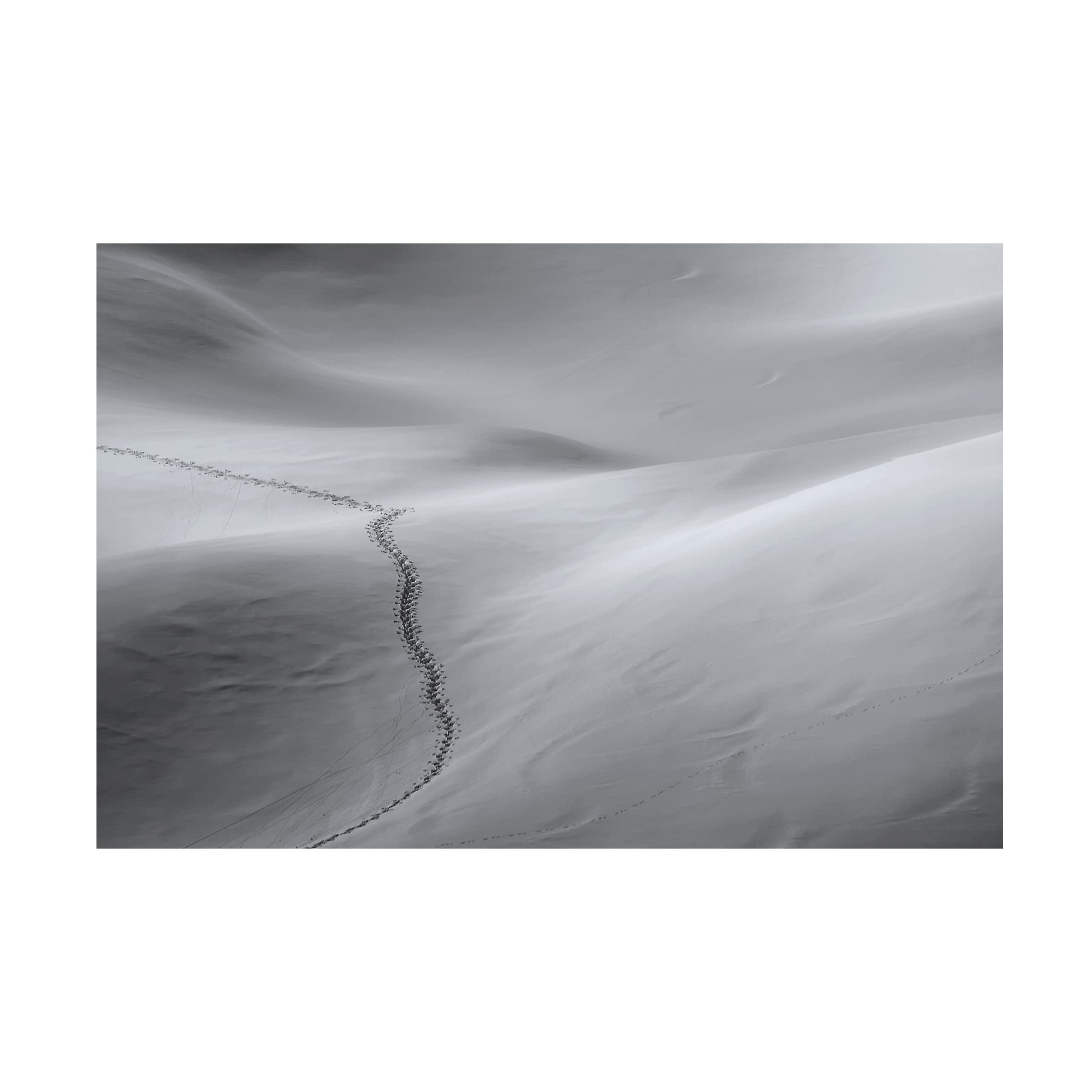 Trademark Fine Art 'On Tour' Canvas Wall Art by Uschi Hermann - Perfect for Living Room, Bedroom & Office Decor