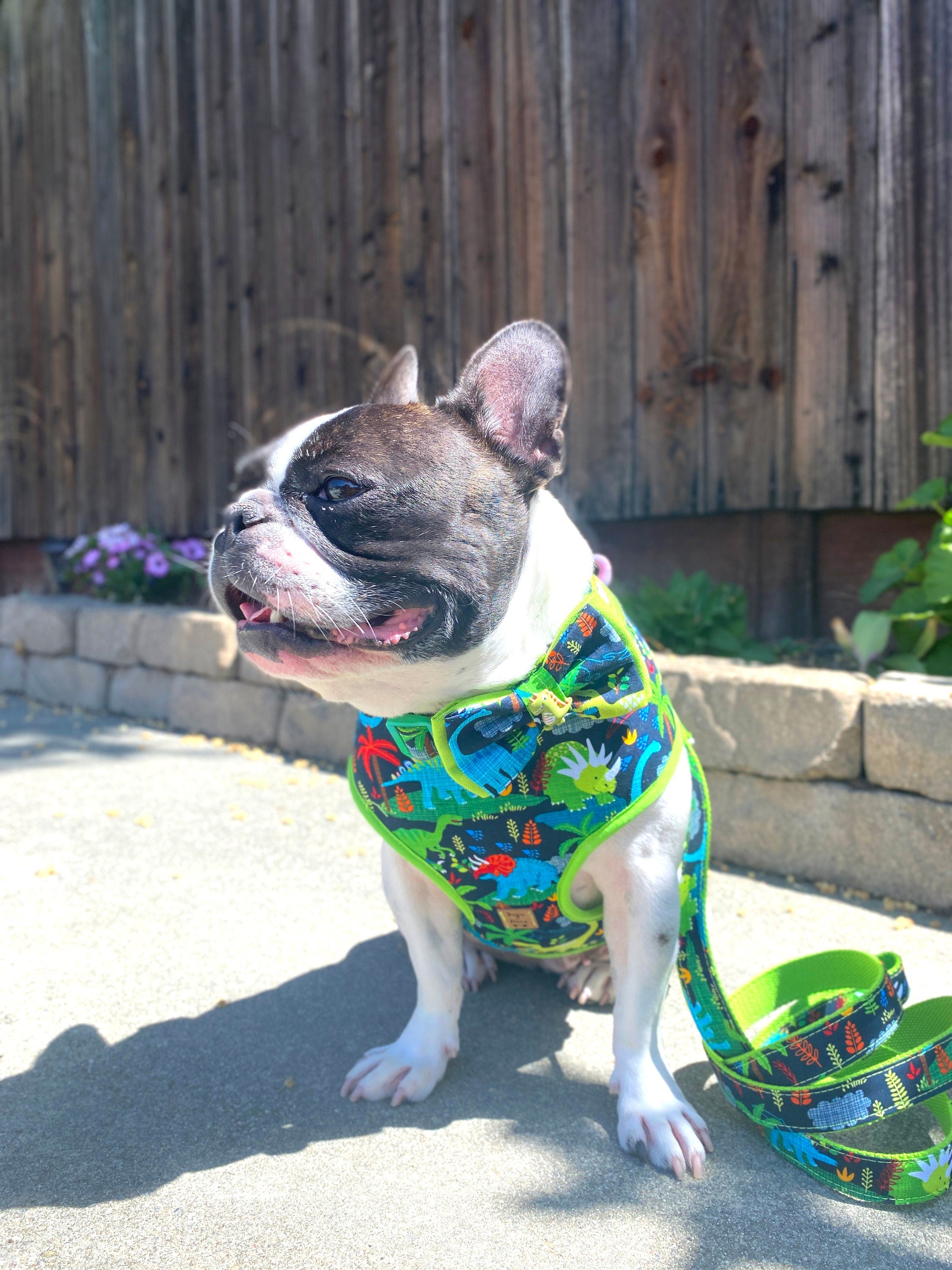 Stylish Dog Bow Tie Collar & Leash Set - Jungle Dinosaur Print - Perfect for Pet Parties, Weddings & Photo Shoots