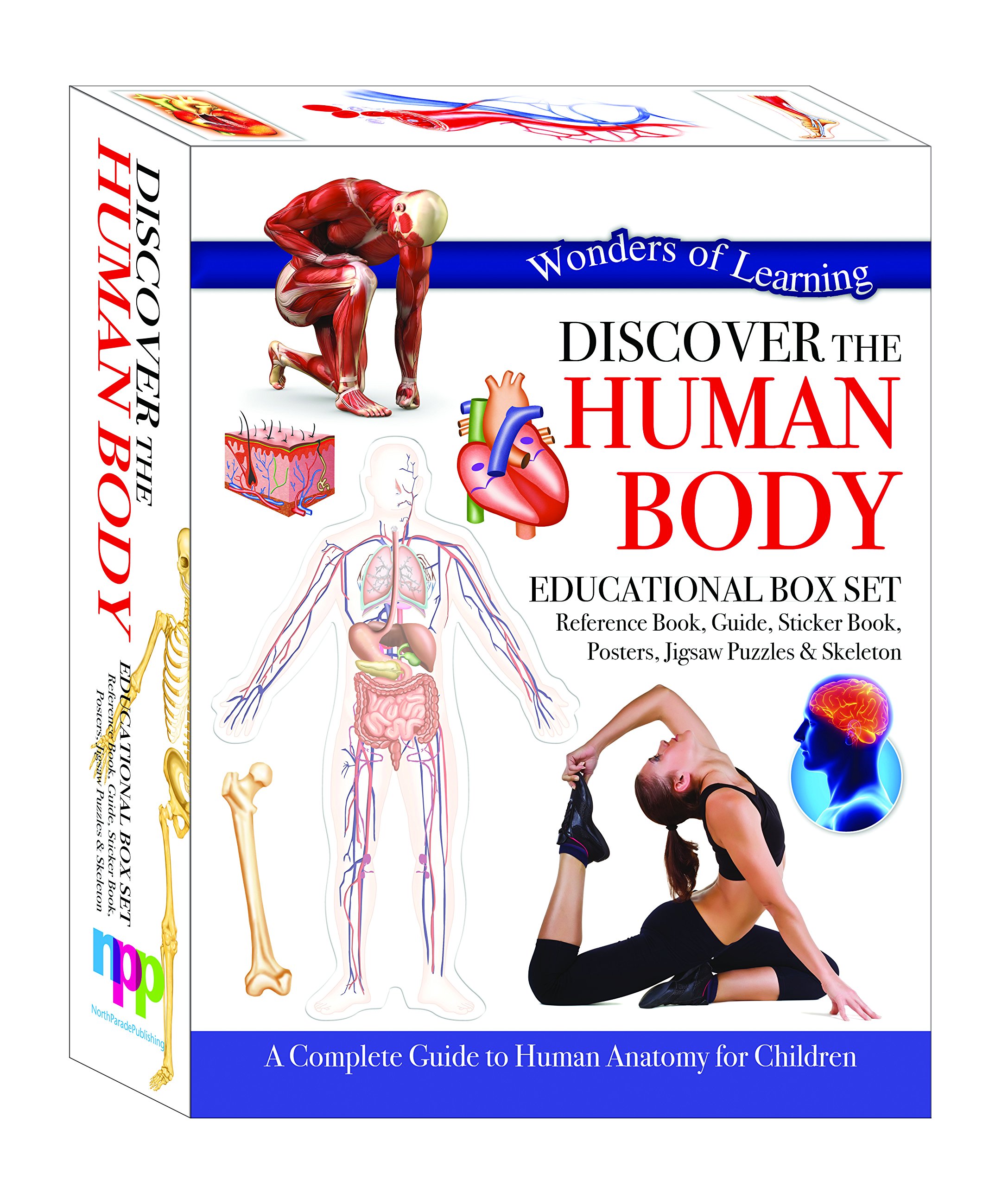 Human Body Educational Box Set - Interactive Learning Kit for Kids | Explore Anatomy & Biology | Perfect for Homeschooling & Classroom Science Activities