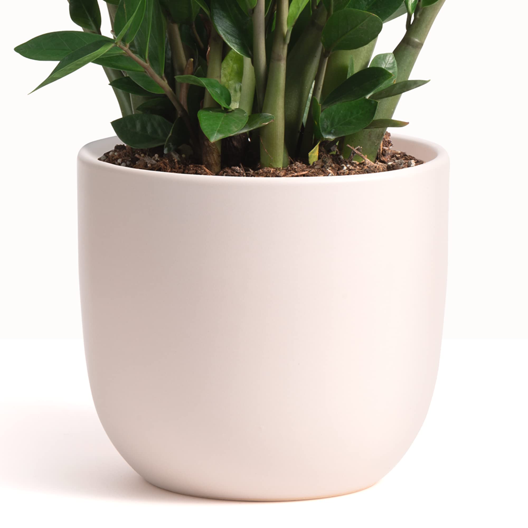PEACH & PEBBLE 5 Inch Ceramic Plant Pots (Set of 2) - Pink Flower Pots with Drainage Hole & Stopper for Indoor Plants, Succulents, Herbs - Perfect for Home Decor, Office Desk, Windowsill Gardening