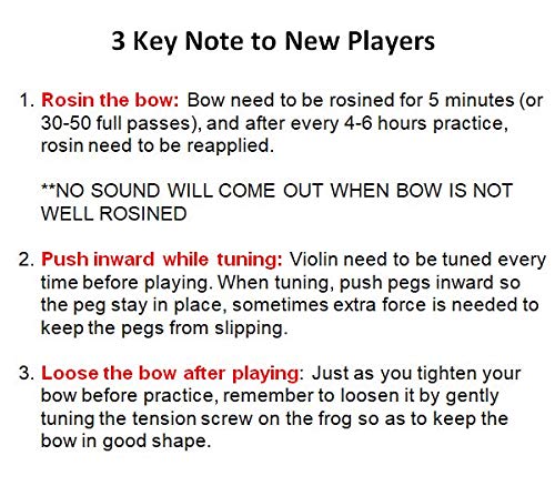 4-String Violin for Beginners & Professionals - Sky Music SKYVSVNPK-1/10 | Acoustic Violin for Practice, Performances & Music Education