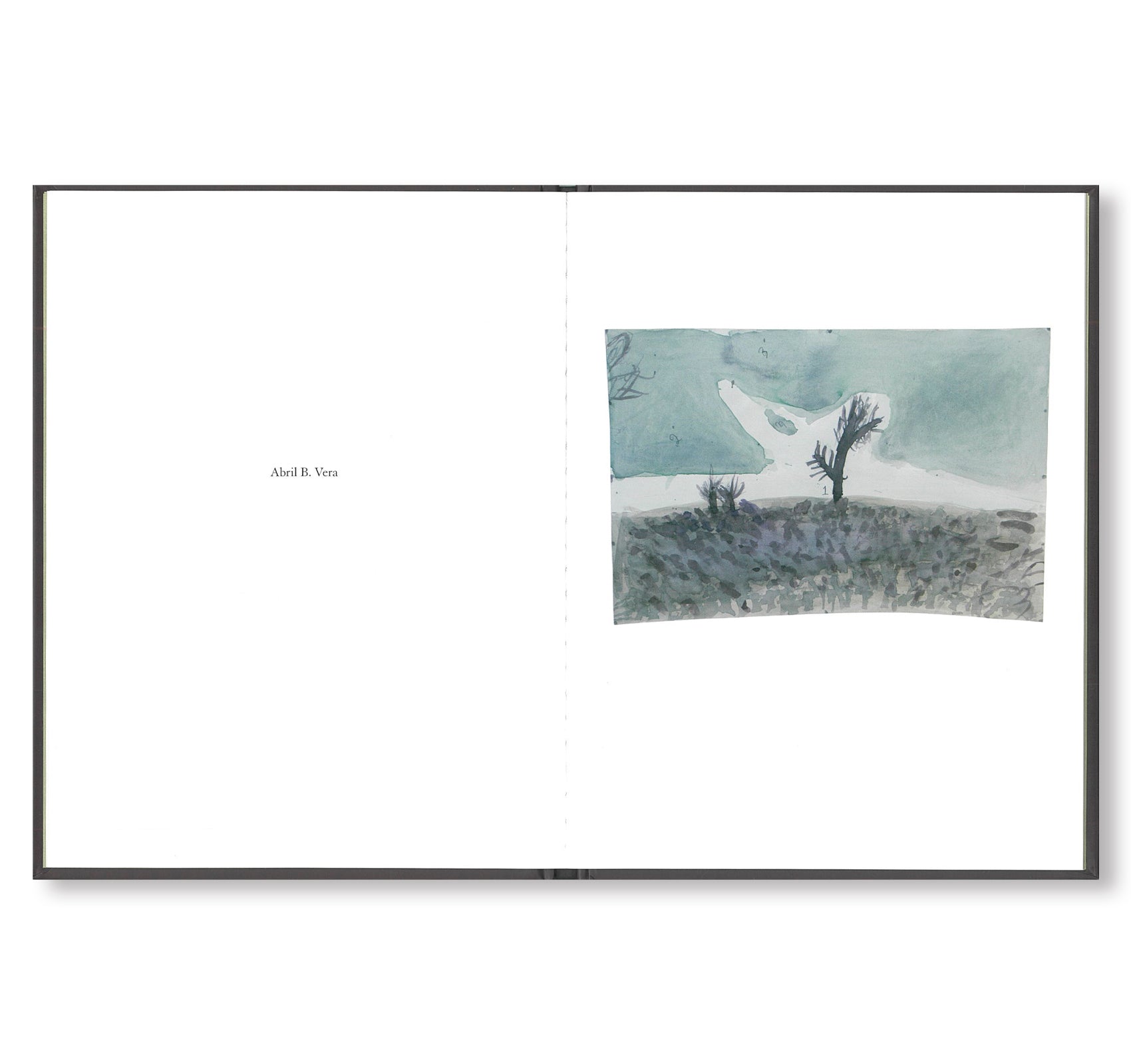 Todd Hido's Cracked Tree - ONE PICTURE BOOK #59 Fine Art Photography Book | Landscape Photography, Contemporary Art Book for Collectors & Decor | Perfect for Home Decor, Office Display & Art Gifts