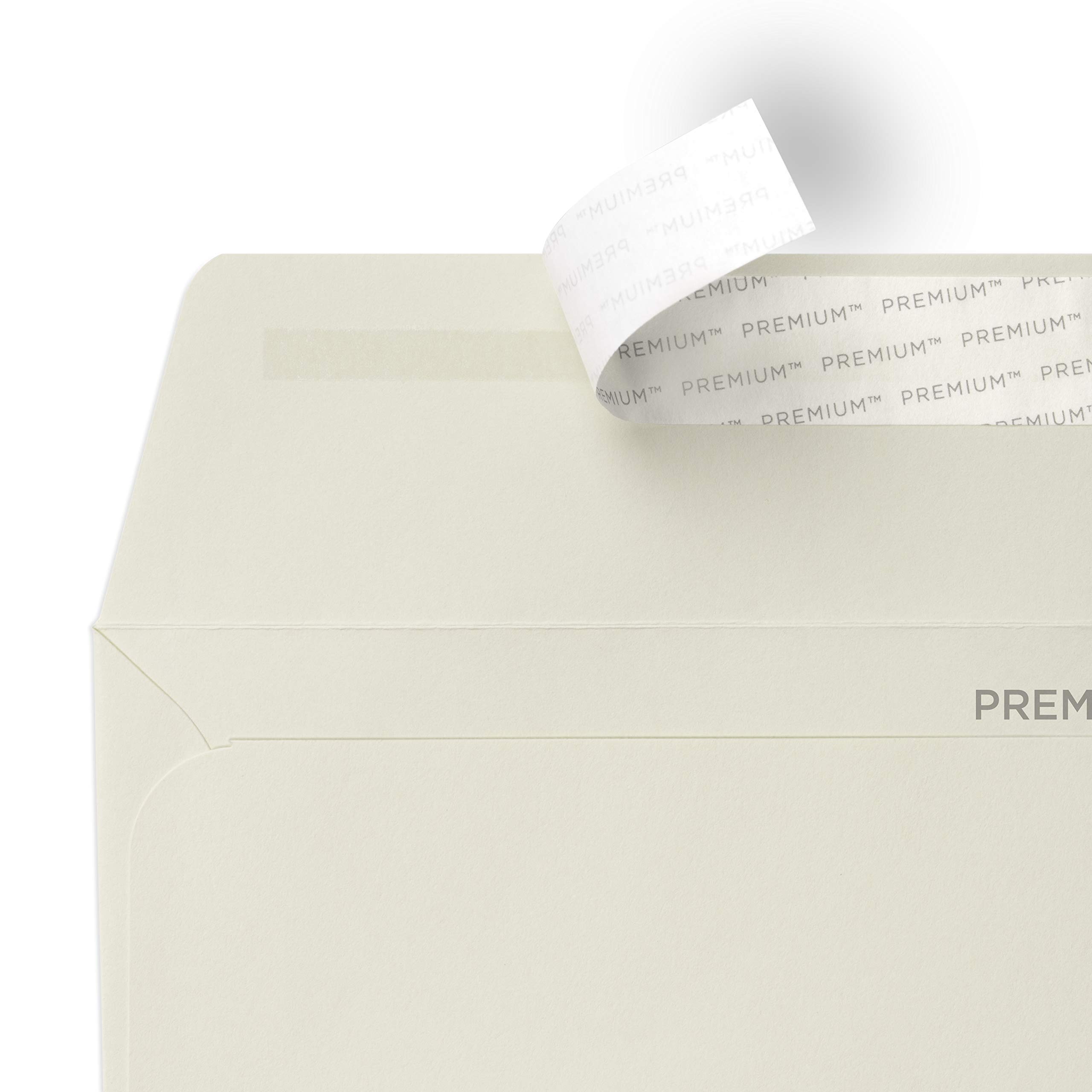 Premium Blake Business DL 110x220mm 120gsm Peel & Seal Wallet Envelopes (Pack of 500) - High Quality White Wove Paper for Mailing, Invoicing & Office Use