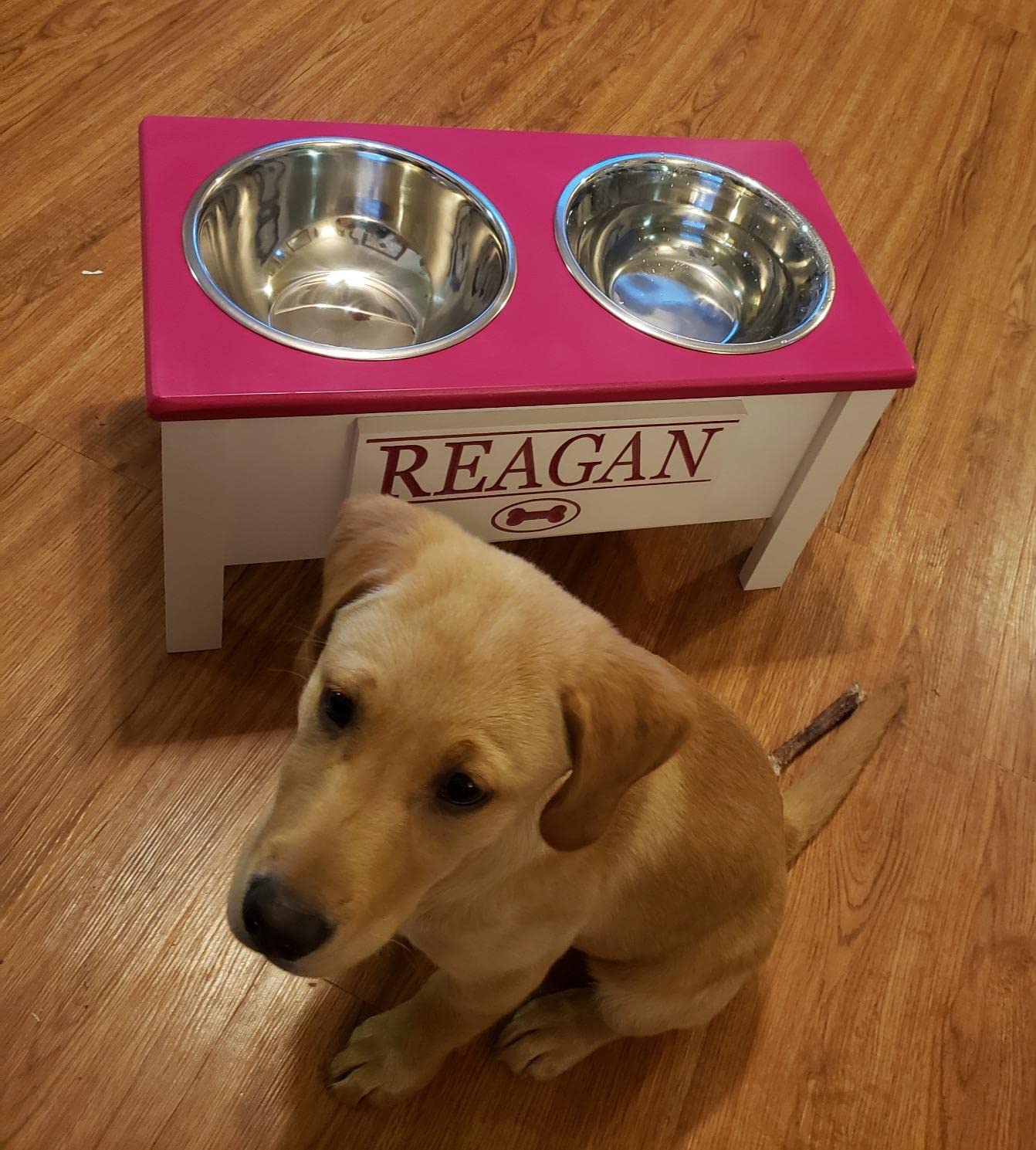 Personalized Elevated Dog Bowl Stand for Large, Medium, Small & X-Small Dogs - Stainless Steel Food & Water Bowls with Internal Storage - Raised Pet Dish for Better Digestion & Comfort (Medium, Magenta) - Perfect for Kitchen, Living Room or Outdoor Use